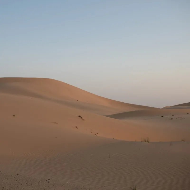 Wydmy pustyni w Zjednoczonych Emiratach Arabskich